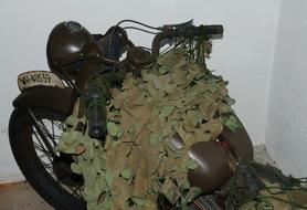 War World Memoriala motorcycle with green leaves against the wall