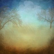vintage background with bare trees and clouds