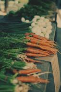 ripe carrots at the market