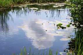 Reflection Lake Cloud