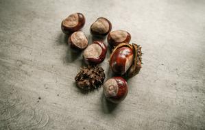 hard nuts on the table