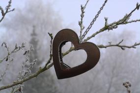 a wooden heart on a branch