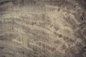 texture of old oak