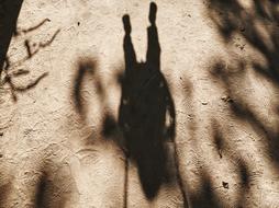 shadow on the sand in the play of light and shadow