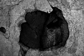 Wood Black And White