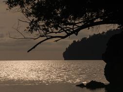 Night Sea Togean Island view