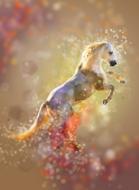 horse steed magical freedom drawing