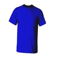 Blank Tshirt Male