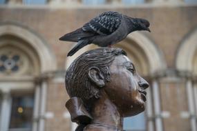 Pigeon perched female statue head
