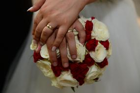 Roses people's hands are beautiful