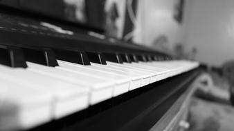 Music Keyboard Classic Black And White