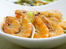boiled shrimp in plate