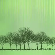 drawn alley of trees on a green background
