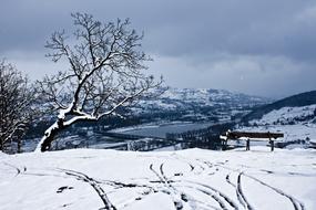 Snow Landscape Nature