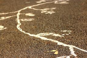 Paint Street Leaf
