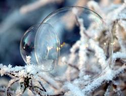 double Soap Bubble on frosted grass