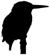 clipart of black kingfisher silhouette on a white background
