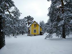 Zlatibor Mountain Yellow House