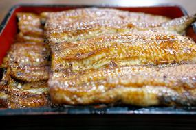 Japanese Food macro