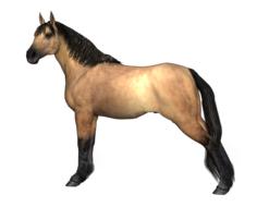 horse brown animal drawing