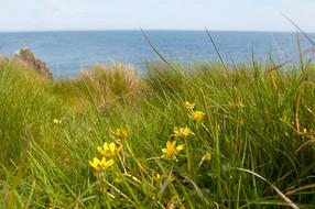 Sea Dumfries And Galloway