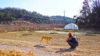 Photo of man and dog in the countryside in Republic of Korea