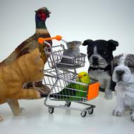 Animals with Shopping baskets