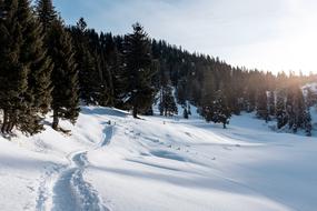 Cold Hill Landscape