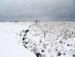 High Veenen Ardennes Snow