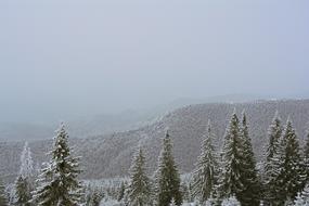 Mountain Winter Ranca