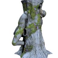 tree wood woman prisoner nature