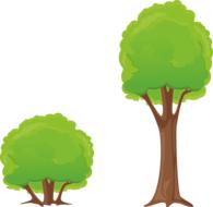 tree bush clipart nature forest