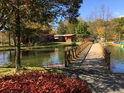 Karuizawa Taliesin Pond