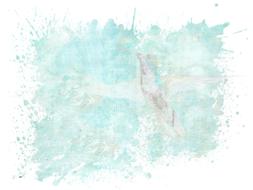 bird hummingbird texture blue drawing