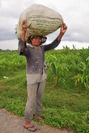 Bali Indonesian worker