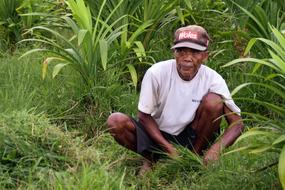 Bali Indonesia Travel Rice