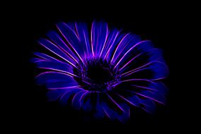 flower design abstract background drawing