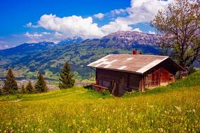 beautiful Switzerland Mountains