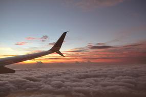 Sky Plane Fly