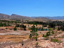 Park Landscape Blue Wells