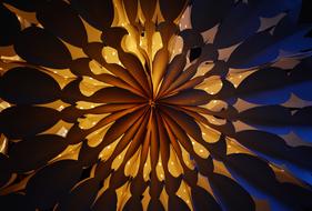 Light Shining Star drawing