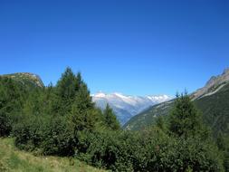 Alpine Switzerland Summer