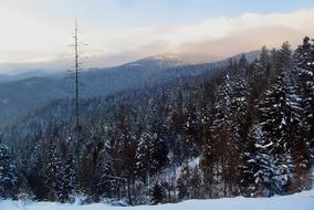 Mountains Prehyba Landscape