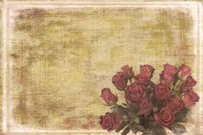 vintage shabby chic drawing