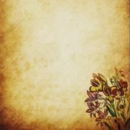 painted multi-colored lilies on vintage paper