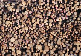 Logs Wood Lumber small