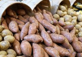 healthy potatoes