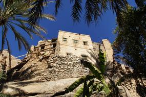 Village Oasis Oman