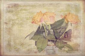 roses, vintage shabby chic background