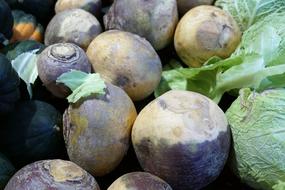 tasty vegetables on sale